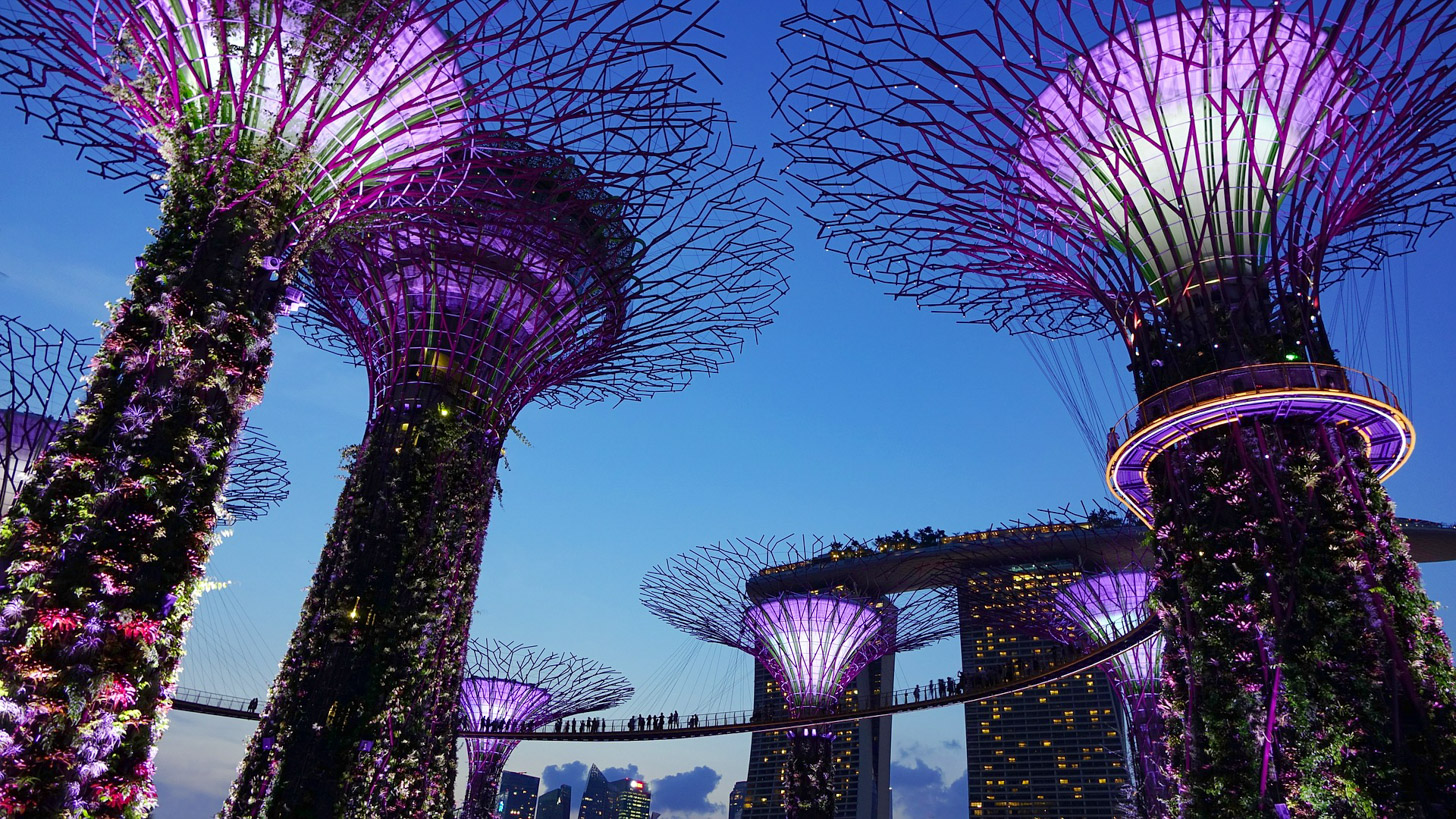 Supertrees Singapore