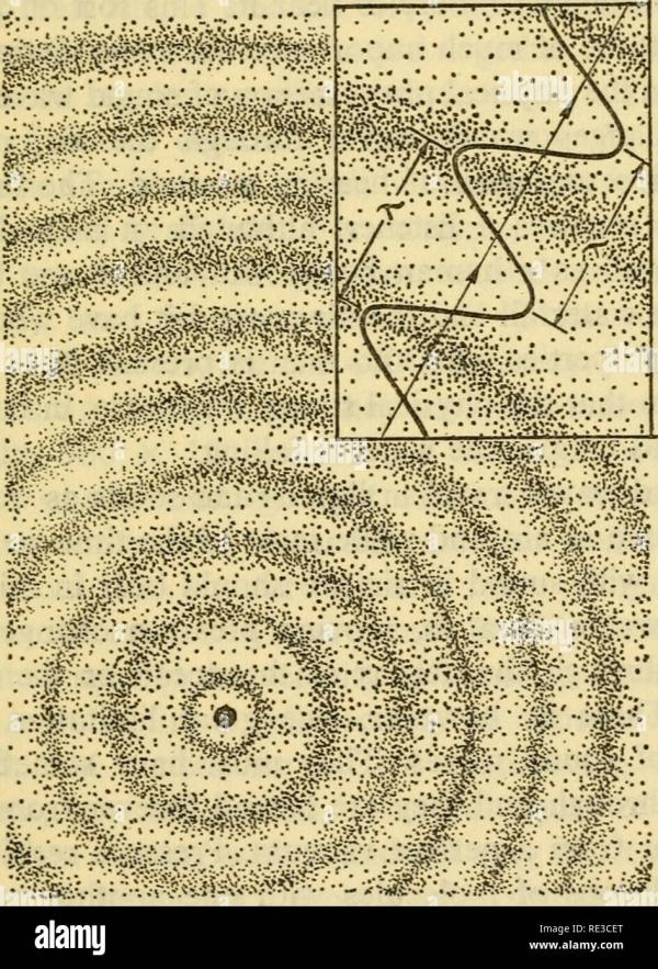 Pressure waves echoes bats and men